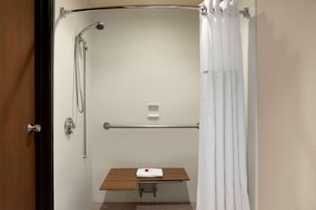 Room, 1 King Bed, Accessible, Non Smoking
