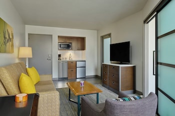Suite, 1 King Bed with Sofa bed