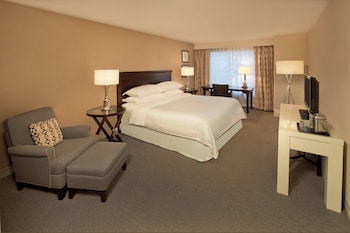 Room, 1 King Bed