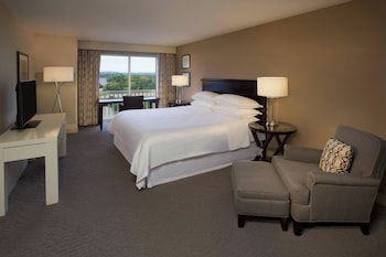 Room, 1 King Bed