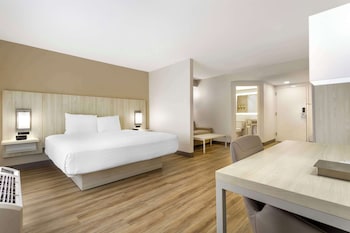 Suite, 1 King Bed, Non Smoking, Refrigerator & Microwave (Larger Room;with Sofabed)