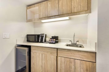 Suite, 1 King Bed, Non Smoking, Refrigerator & Microwave (Larger Room;with Sofabed)