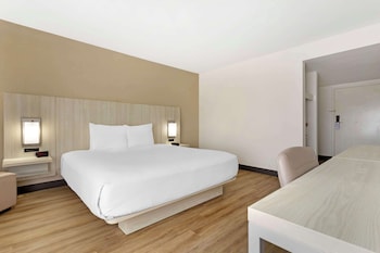 Standard Room, 1 King Bed, Accessible, Refrigerator & Microwave (Walk-in Shower)