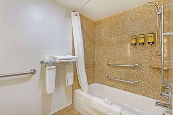 Standard Room, 1 King Bed, Accessible, Refrigerator & Microwave (Walk-in Shower)