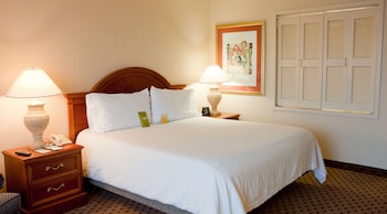 Junior Suite, 1 King Bed with Sofa bed