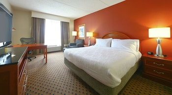 Room, 1 King Bed