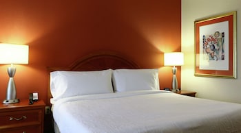 Room, 1 King Bed