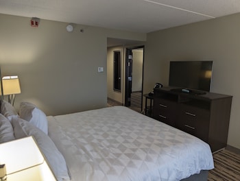 Suite, 1 Bedroom