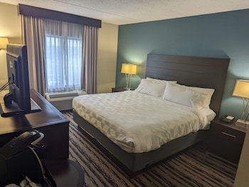 Suite, 1 King Bed