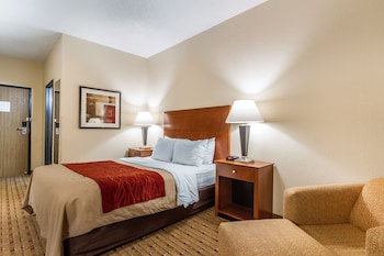 Room, 1 Queen Bed
