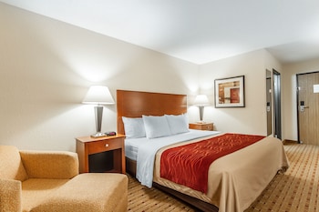 Standard Room, 1 King Bed, Non Smoking