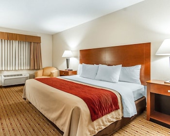 Standard Room, 1 King Bed, Non Smoking