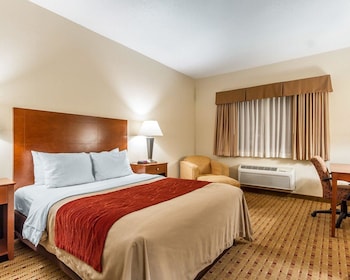 Room, 1 Queen Bed
