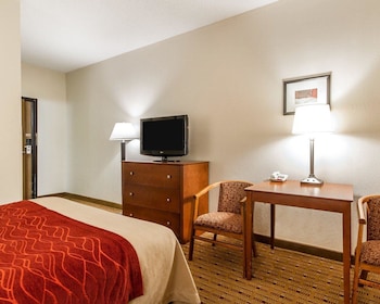 Room, 1 Queen Bed