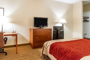 Room, 1 Queen Bed