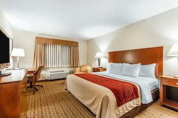 Standard Room, 1 King Bed, Non Smoking