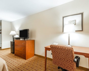 Standard Room, 1 King Bed, Non Smoking