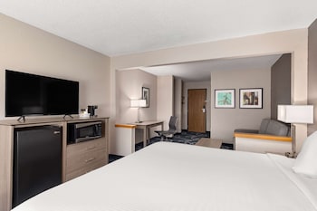 Studio Suite, 1 King Bed, Non Smoking