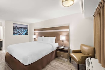 Standard Room, 1 King Bed, Non Smoking