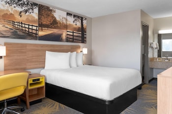 Room, 1 Queen Bed, Non Smoking