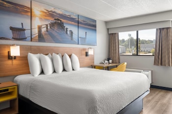 Standard Room, 1 King Bed, Accessible