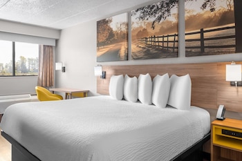 Standard Room, 1 King Bed