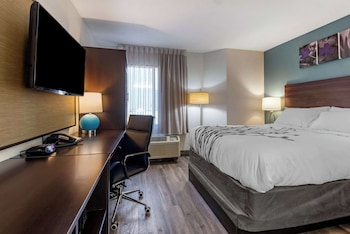 Standard Room, 1 Queen Bed, Non Smoking