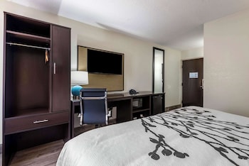 Room, 1 King Bed, Accessible, Non Smoking