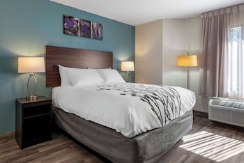 Room, 1 Queen Bed, Accessible, Non Smoking