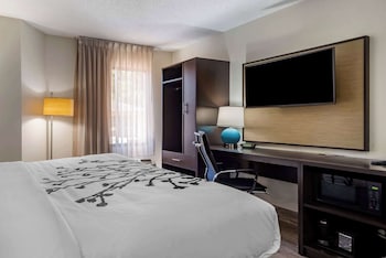 Room, 1 King Bed, Accessible, Non Smoking