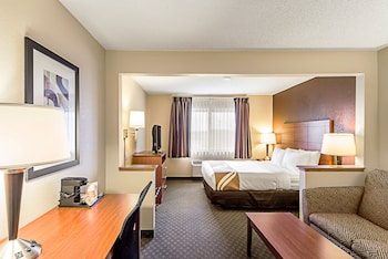 Suite, 1 King Bed with Sofa bed, Non Smoking (No Pets)