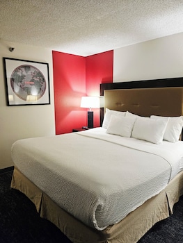 Room, 1 King Bed, Non Smoking