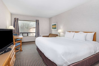 Room, 1 King Bed, Non Smoking