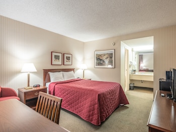 Standard Room, 1 Double Bed