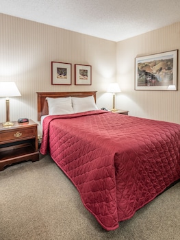 Standard Room, 1 Double Bed