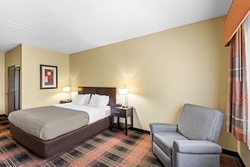 Standard Room, 1 King Bed, Non Smoking
