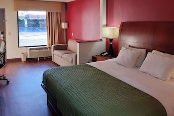Room, 1 King Bed, Accessible, Non Smoking