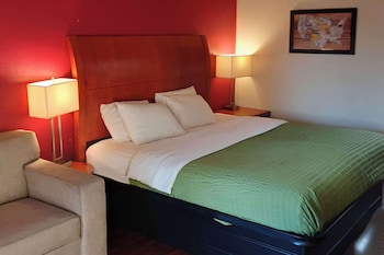 Room, 1 King Bed, Accessible, Non Smoking