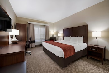 Room, 1 King Bed, Accessible, Non Smoking