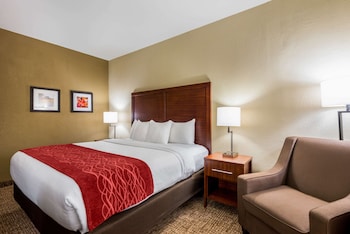 Room, 1 King Bed, Accessible, Non Smoking