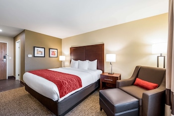 Standard Room, 1 King Bed, Non Smoking