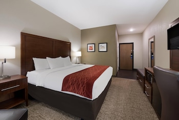 Room, 1 King Bed, Accessible, Non Smoking