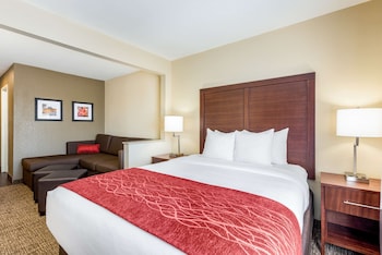 Suite, 1 Queen Bed with Sofa bed, Non Smoking
