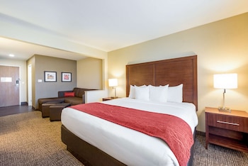 Suite, 1 King Bed with Sofa bed, Non Smoking