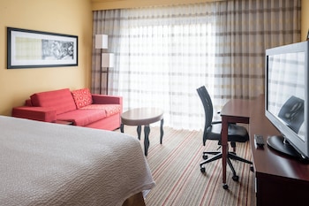 Room, 1 King Bed with Sofa bed