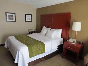 Comfort Care, Standard Room, 1 Queen Bed, Non Smoking