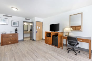 Standard Room, 1 King Bed, Refrigerator & Microwave (Larger Room;with Sofabed)