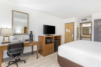 Standard Room, 1 King Bed, Refrigerator & Microwave (Larger Room;with Sofabed)