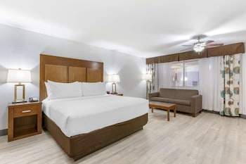 Standard Room, 1 King Bed, Refrigerator & Microwave (Larger Room;with Sofabed)
