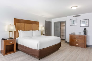 Standard Room, 1 King Bed, Refrigerator & Microwave (Larger Room;with Sofabed)